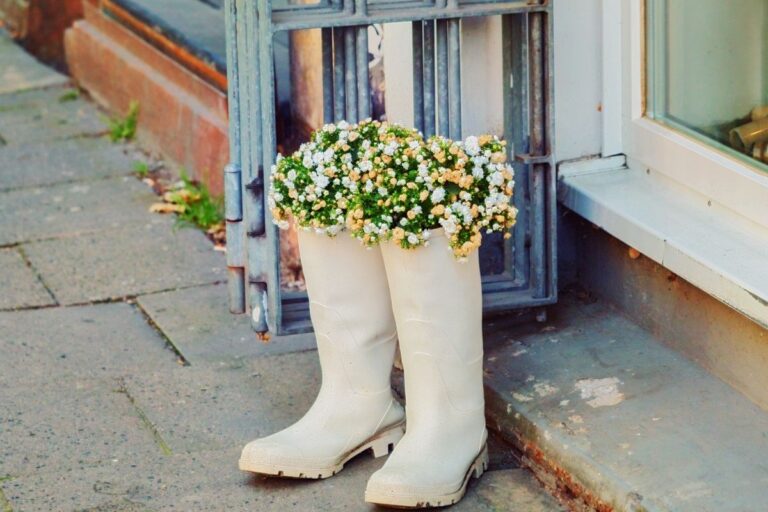 frugal boots