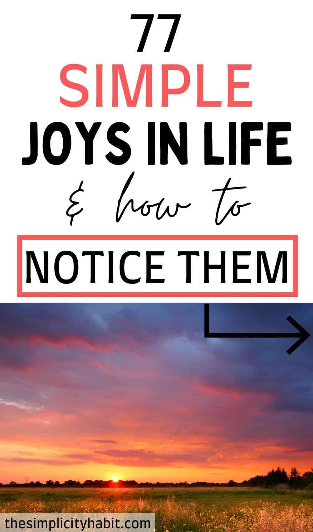 77 Simple Joys in Life (& How to Notice Them) - The Simplicity Habit