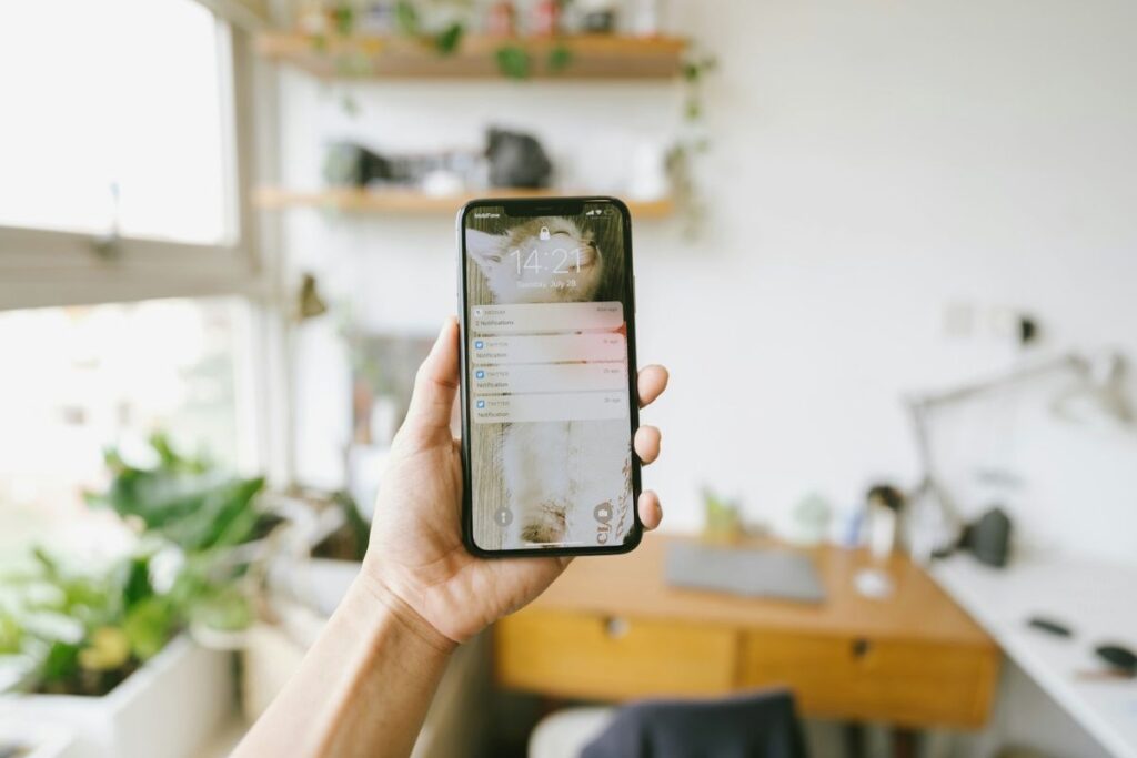 person holding up a cell phone