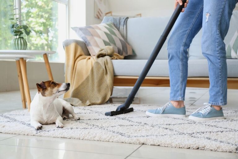 How to Use the ‘One Hour’ Cleaning Method to Make Your Home Sparkle