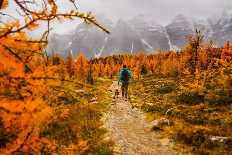 10 Things to Let Go of for a Fresh Start in the Fall