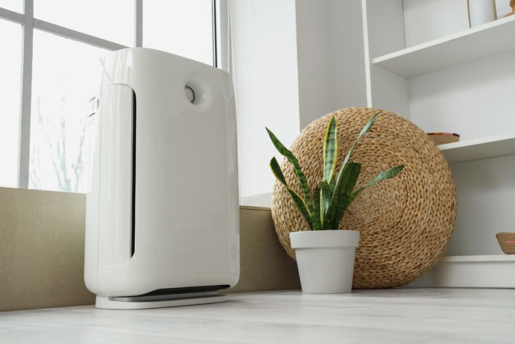 air purifier and plant