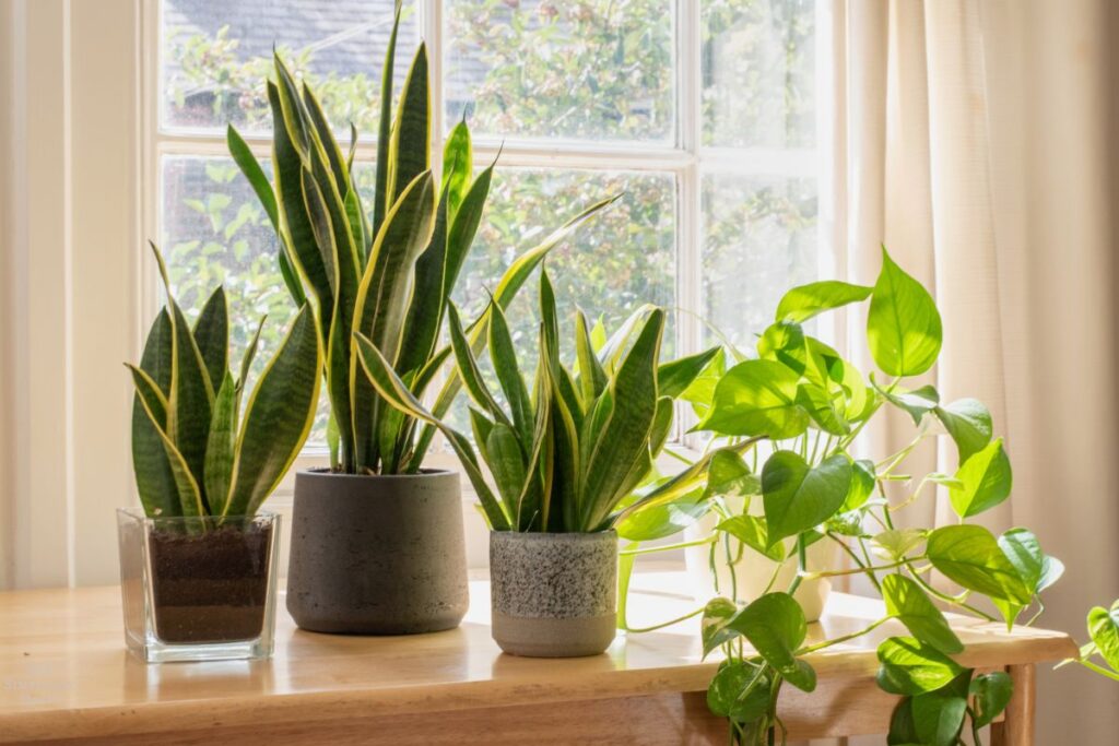 tidy home can support mental health