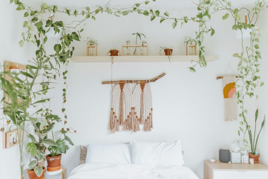 calm bedroom with plants