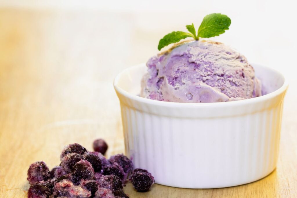 blueberry ice cream